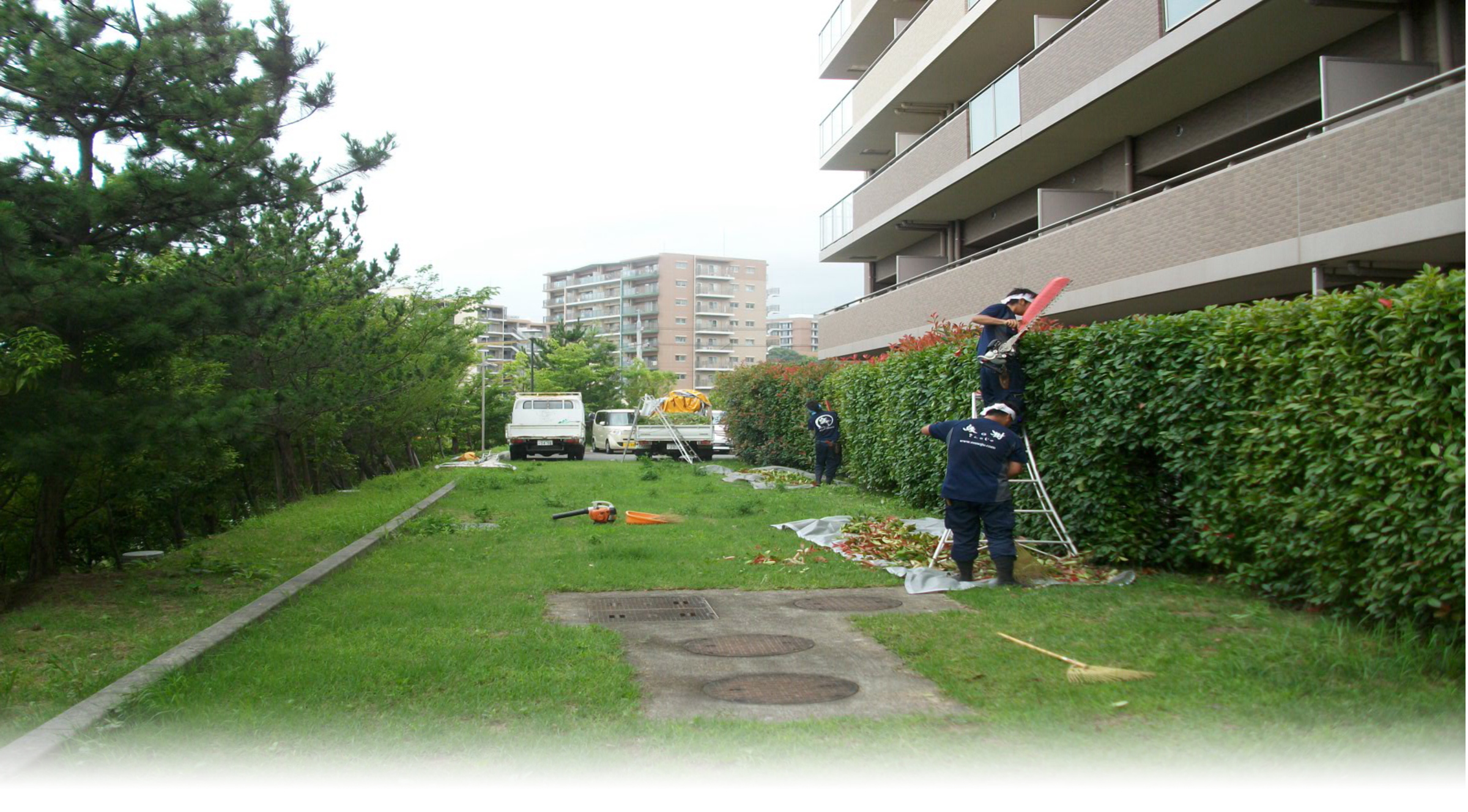 西宮市の剪定 草刈 伐採の事なら植木屋 西宮 Com