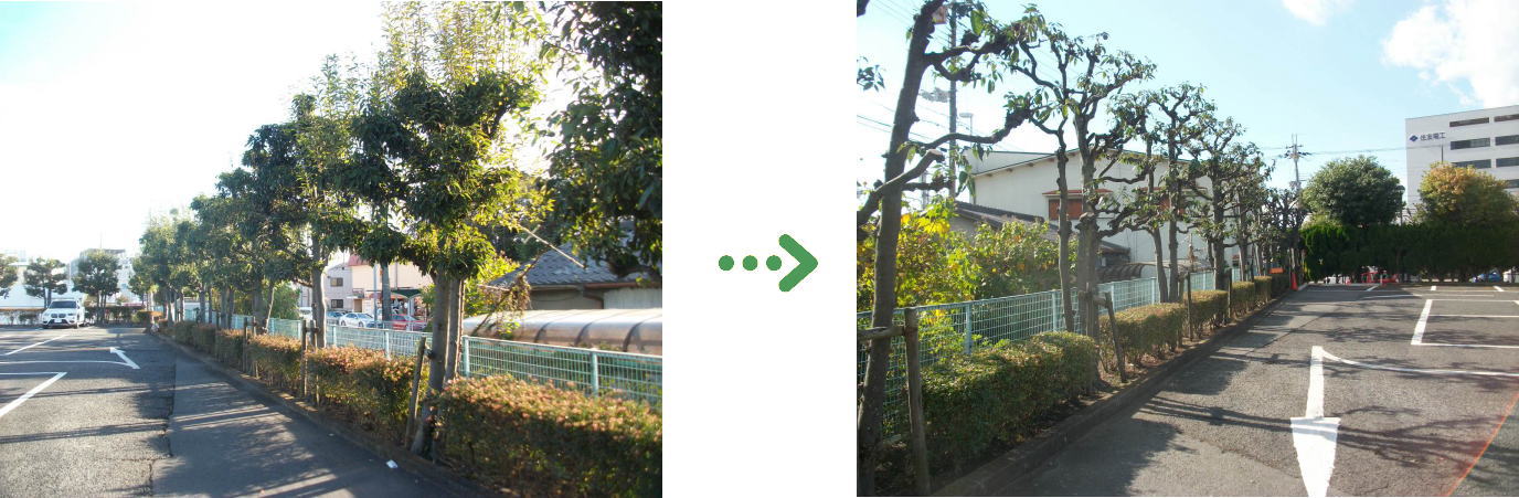植栽管理の施工前と施工後