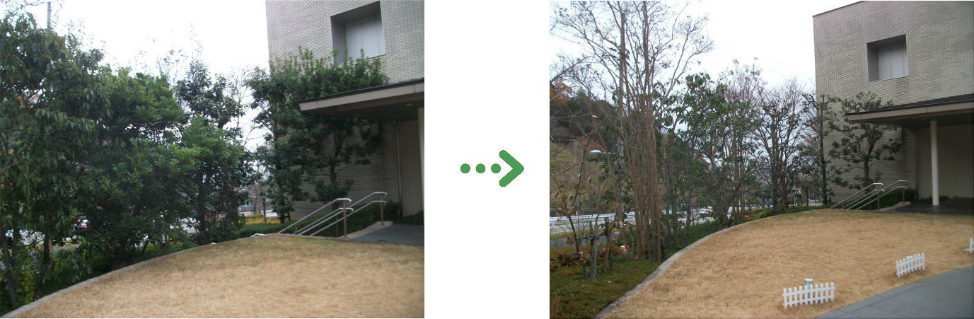 植栽管理の施工前と施工後